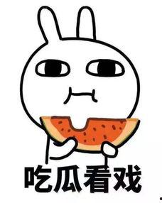 沙雕动画吃瓜系统娱乐圈,沙雕动画吃瓜系统带你笑看风云变幻